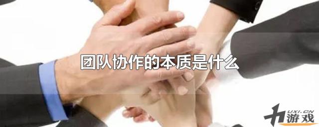 团队协作的本质是什么，团队协作的本质是什么意思