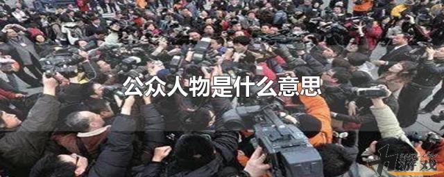 公众人物是什么意思，公众人物是什么意思解语签