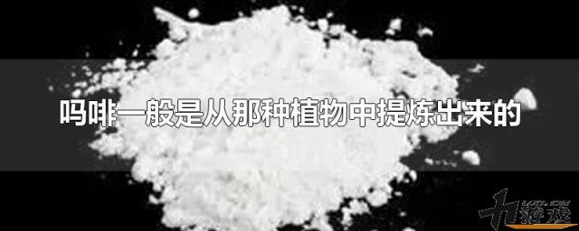 吗啡一般是从那种植物中提炼出来的，吗啡一般是从那种植物中提炼出来的