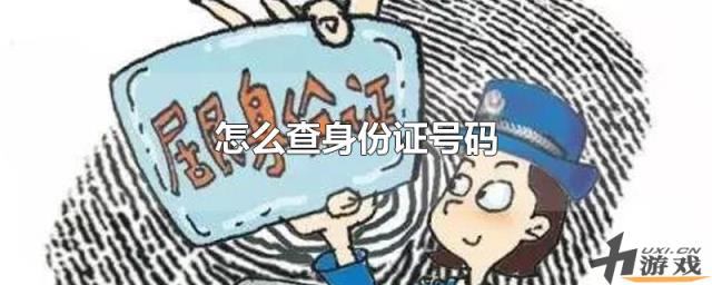 怎么查身份证号码，怎么查身份证号码和真实姓名