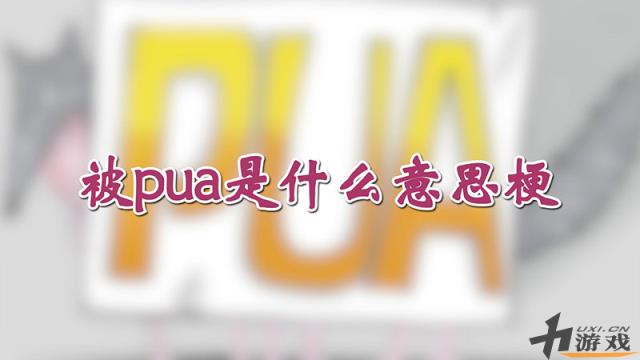 被ua是什么意思梗，被ua是什么意思梗饭圈