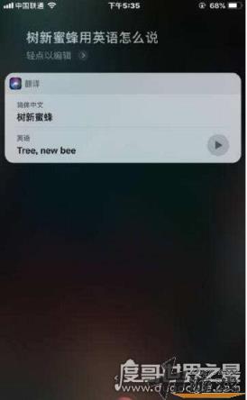 树新蜜蜂英语怎么说，树新蜜蜂英语怎么说siri