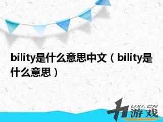 bility是什么意思中文，bility是什么意思中文