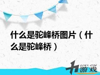 什么是驼峰桥图片，驼峰桥的图片是什么