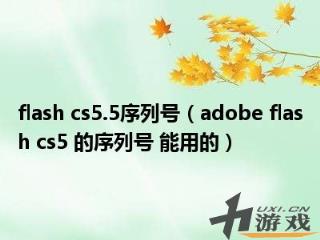 flash，flash是什么意思