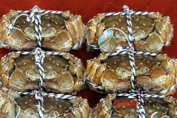 大闸蟹养殖技术与方法