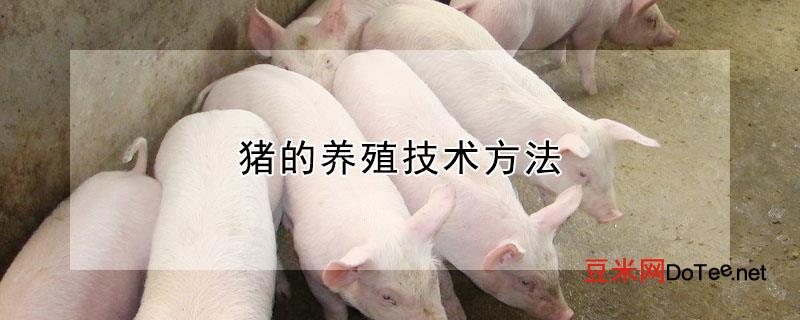 猪的养殖技术方法？生猪养殖技术
