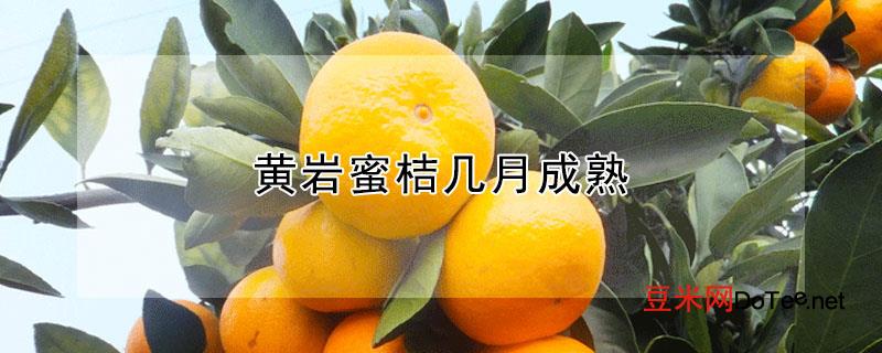 黄岩蜜桔几月成熟？黄岩蜜桔几月成熟和涌泉蜜橘