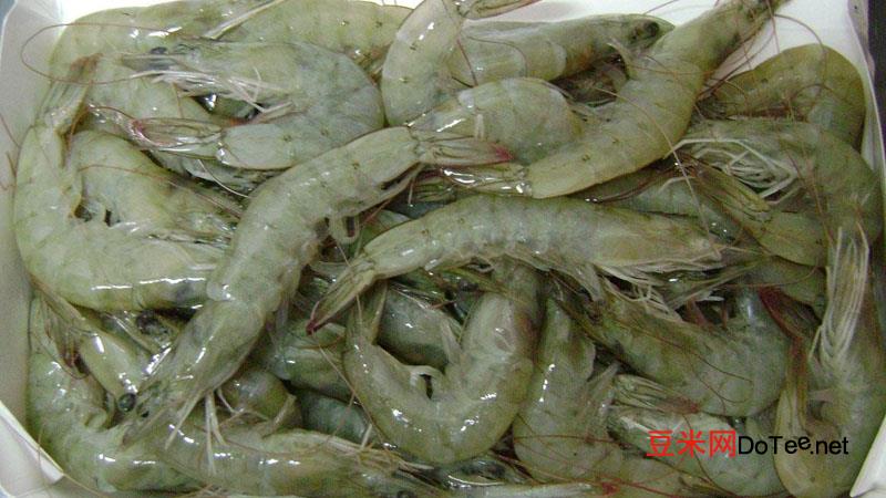 南美白对虾养殖技术