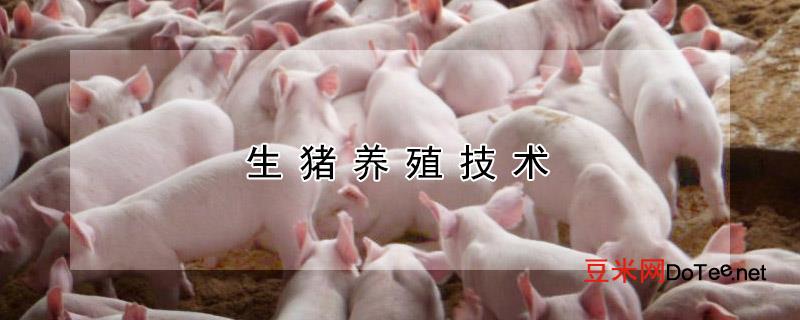 生猪养殖技术