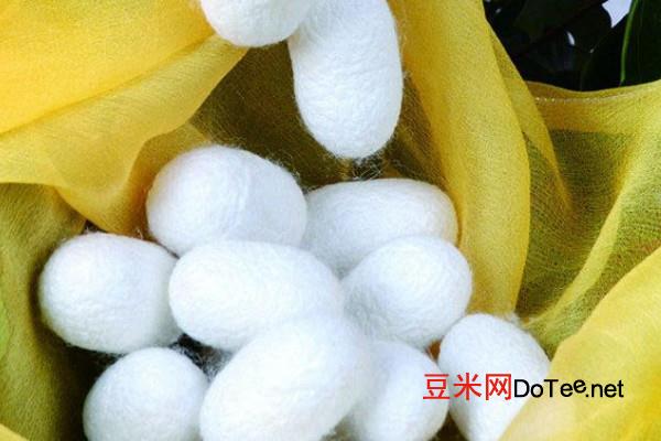 蚕茧多少钱一斤 蚕茧价格17-58元/斤
