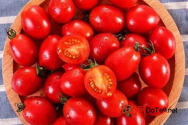 小番茄多少钱一斤 小番茄价格2-3元/斤