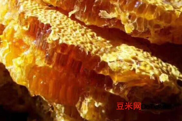 正宗土蜂蜜多少钱一斤 正宗土蜂蜜价格100-300元/斤