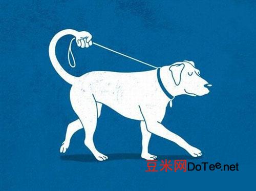 训练狗狗“散步”的三大步骤？如何训练狗狗散步