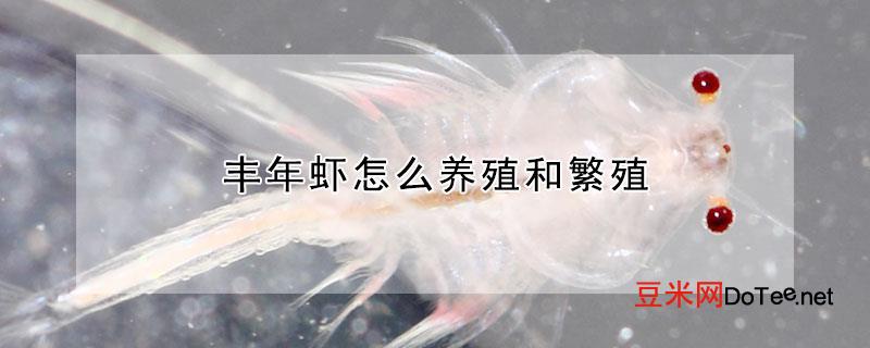 丰年虾怎么养殖和繁殖？丰年虾怎么养殖和繁殖视频