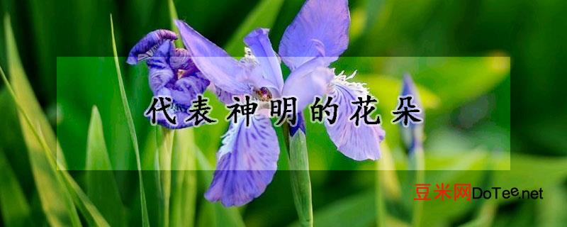 代表神明的花朵？代表神明的花朵中国