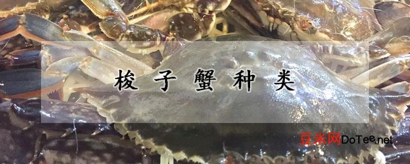 梭子蟹种类