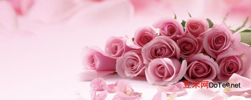 粉玫瑰花语是什么？粉玫瑰花语是什么意思