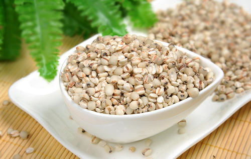 薏米的功效与作用及禁忌？赤小豆和薏米的功效与作用及禁忌