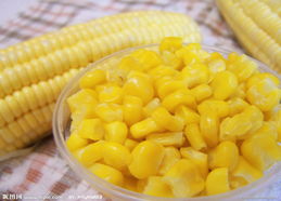 玉米的功效与作用？玉米的功效与作用的功能与主治与用量
