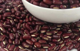 赤小豆的功效与作用吃法？薏仁米赤小豆的功效与作用及食用方法