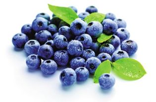 蓝莓的功效与作用禁忌？蓝莓有哪些功效与作用及禁忌症