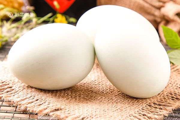 鸭蛋的营养价值及功效与作用？鸭蛋的营养价值及功效与作用禁忌