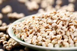 薏米的功效与作用禁忌？赤小豆和薏米的功效与作用及禁忌