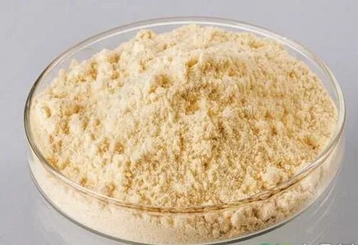 黄瓜籽粉的功效与作用及食用方法？黄瓜籽的功效和作用