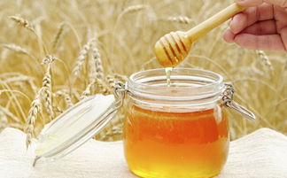 蜂蜜有壮阳的作用吗？蜂蜜补肾吗?