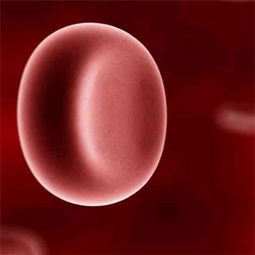 红细胞压积偏高是什么原因？红细胞压积偏高说明什么问题