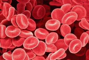 红细胞压积偏高是什么意思？红细胞压积偏高的危害是什么意思