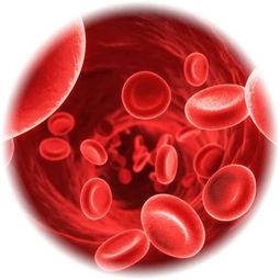 红细胞偏低是什么意思？红细胞低是怎么回事?