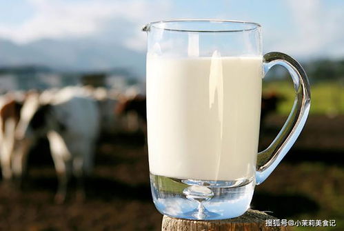 什么时候喝牛奶最好？什么时间喝牛奶最好容易吸收