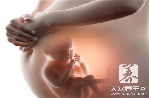 四个月男胎儿生殖器图