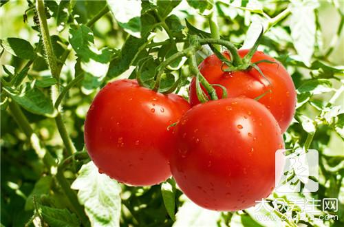 番茄红素胶囊作用有什么呢?