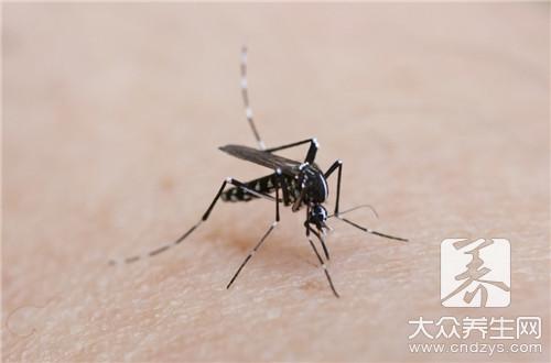 灭蚊子最有效的方法有什么？
