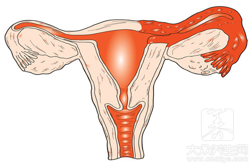 精子和卵子结合的过程？卵子和精子结合的过程