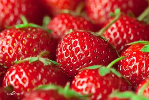 草莓是不是上火的水果？草莓是不是上火的水果蔬菜