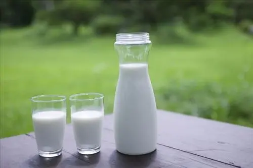 三天只喝牛奶能瘦几斤？三天只喝牛奶能瘦几斤吗