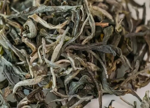 古树茶属于什么茶类档次？古树茶属于哪类