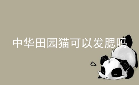 中国泰迪十大犬舍排行榜