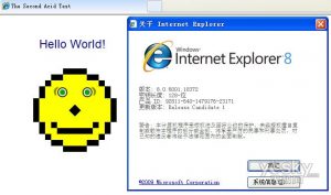 IE8.0