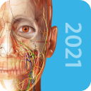 2021人体解剖学图谱破解版下载