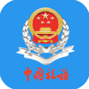 北京税务app官方版下载