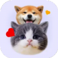 猫狗语宠物翻译器app手机下载 1.1下载